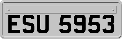 ESU5953