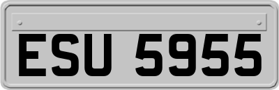 ESU5955