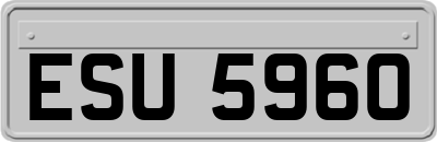 ESU5960