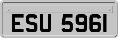 ESU5961
