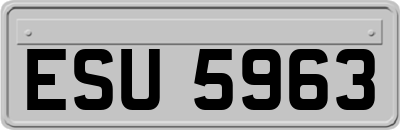 ESU5963