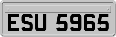 ESU5965