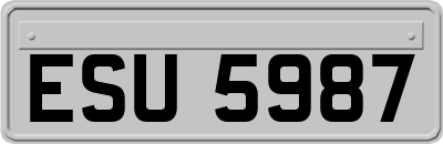 ESU5987