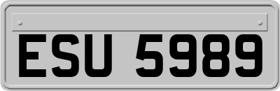 ESU5989