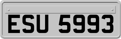 ESU5993