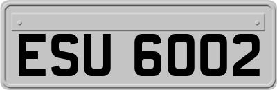 ESU6002