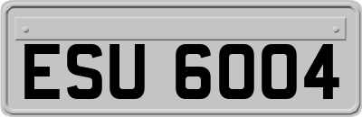 ESU6004