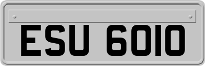 ESU6010