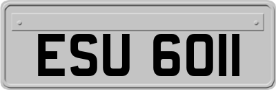 ESU6011