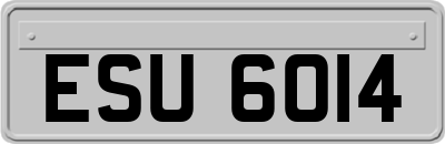 ESU6014