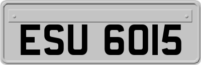 ESU6015