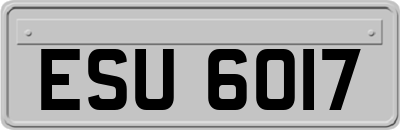 ESU6017