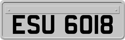 ESU6018