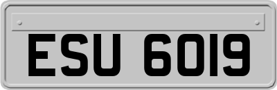 ESU6019