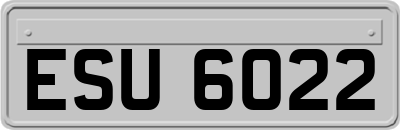 ESU6022
