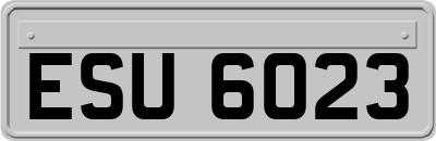ESU6023