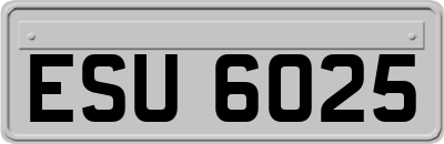 ESU6025