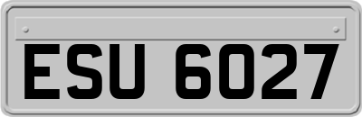 ESU6027