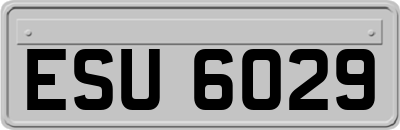 ESU6029