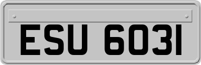 ESU6031