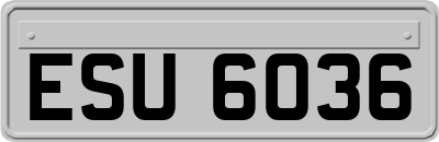 ESU6036