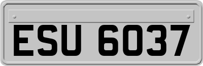 ESU6037