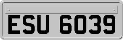 ESU6039