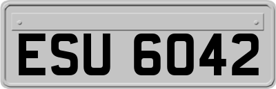 ESU6042