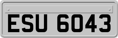 ESU6043