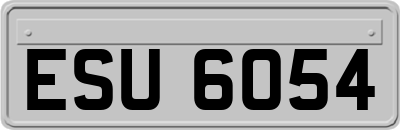 ESU6054