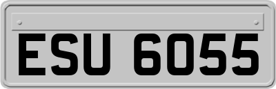 ESU6055