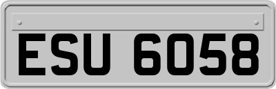 ESU6058