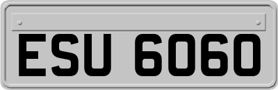 ESU6060
