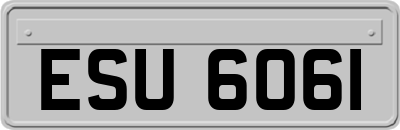 ESU6061