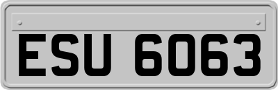 ESU6063