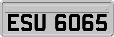 ESU6065
