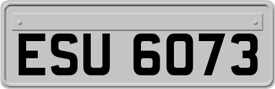ESU6073