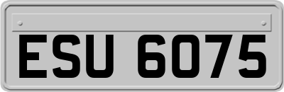 ESU6075