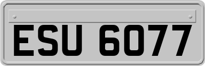 ESU6077