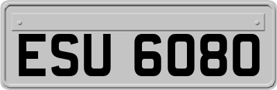ESU6080