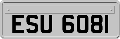 ESU6081
