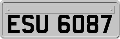 ESU6087