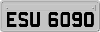 ESU6090