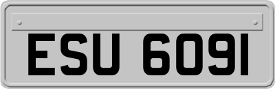 ESU6091