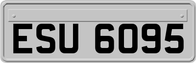 ESU6095