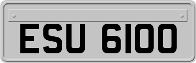 ESU6100