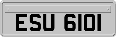 ESU6101