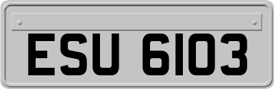 ESU6103