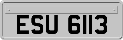 ESU6113