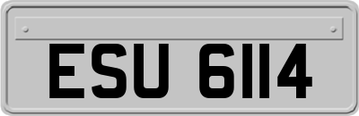 ESU6114